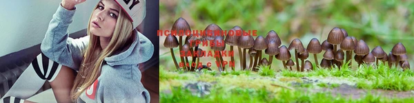 марки lsd Покровск