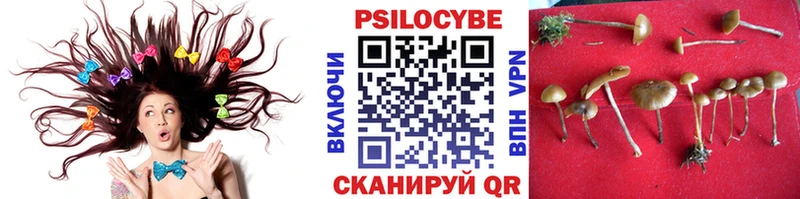 Псилоцибиновые грибы Psilocybine cubensis  цена наркотик  Собинка 